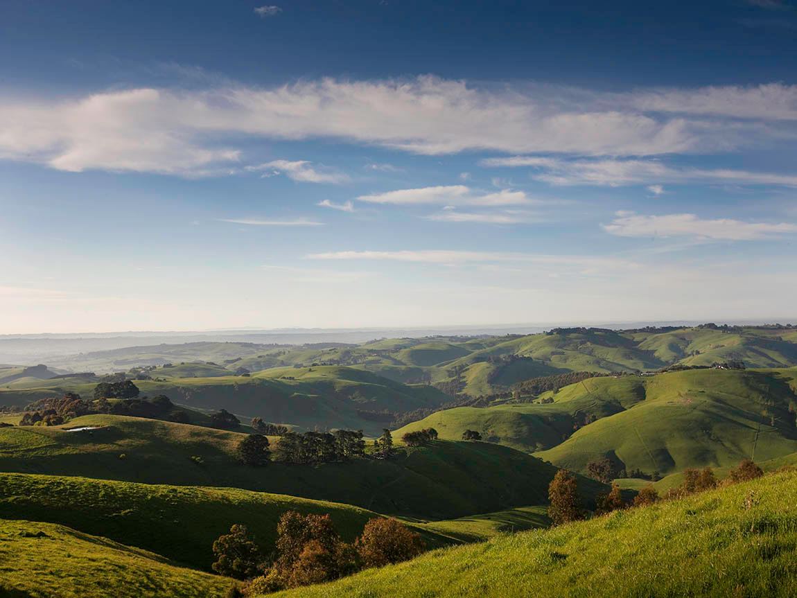 leongatha-hills_gip_r_supplied-dg-a2f9511_1150x863